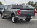 2023 F-150 Thumbnail 4