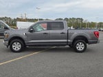 2023 F-150 Thumbnail 5