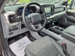 2023 F-150 Thumbnail 11