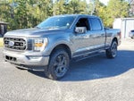 2023 F-150 Thumbnail 7