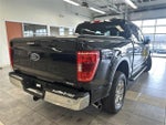 2023 F-150 Thumbnail 11