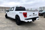2023 F-150 Thumbnail 5