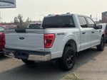 2023 F-150 Thumbnail 2