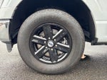 2023 F-150 Thumbnail 10