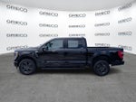 2023 F-150 Thumbnail 4