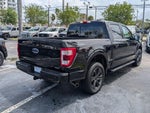2023 F-150 Thumbnail 7