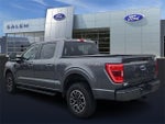 2023 F-150 Thumbnail 4