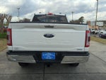 2023 F-150 Thumbnail 6