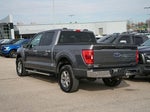 2023 F-150 Thumbnail 7