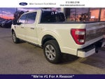 2023 F-150 Thumbnail 6