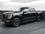 2023 F-150 Thumbnail 1