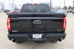 2023 F-150 Thumbnail 6