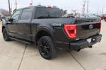 2023 F-150 Thumbnail 7