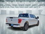 2023 F-150 Thumbnail 3