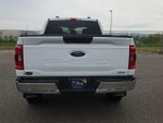 2023 F-150 Thumbnail 4