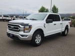 2023 F-150 Thumbnail 5