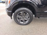 2023 F-150 Thumbnail 9