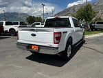 2023 F-150 Thumbnail 5