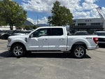 2023 F-150 Thumbnail 8