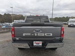 2023 F-150 Thumbnail 7