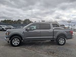 2023 F-150 Thumbnail 9