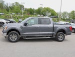 2023 F-150 Thumbnail 4