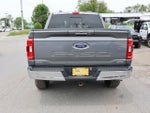 2023 F-150 Thumbnail 6