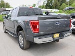 2023 F-150 Thumbnail 5