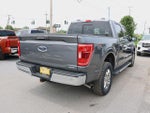2023 F-150 Thumbnail 7