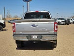 2023 F-150 Thumbnail 4