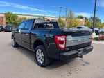 2023 F-150 Thumbnail 7