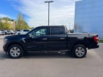 2023 F-150 Thumbnail 8