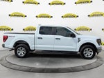 2023 F-150 Thumbnail 6