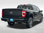 2023 F-150 Thumbnail 19