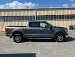 2023 F-150 Thumbnail 12