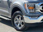 2023 F-150 Thumbnail 40