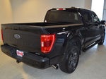 2023 F-150 Thumbnail 3