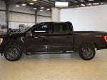 2023 F-150 Thumbnail 6