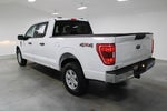 2023 F-150 Thumbnail 6