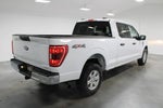 2023 F-150 Thumbnail 8