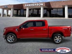 2023 F-150 Thumbnail 6