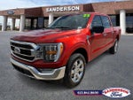 2023 F-150 Thumbnail 7