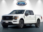 2023 F-150 Thumbnail 8