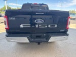 2023 F-150 Thumbnail 3