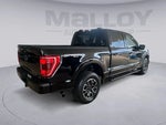 2023 F-150 Thumbnail 5