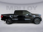 2023 F-150 Thumbnail 6