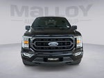 2023 F-150 Thumbnail 8