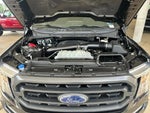 2023 F-150 Thumbnail 20