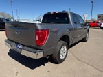 2023 F-150 Thumbnail 5