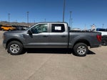 2023 F-150 Thumbnail 7